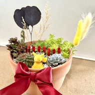 多肉組盆 寶可夢 皮卡丘 百變怪 多肉盆栽 神奇寶貝 客製化生日禮