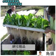 全場費 魚菜共生魚塘水麵種植蔬菜定植闆無土栽培設備水培種菜水耕（農業）