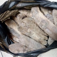 Teripang Polos Kering 1/2kg