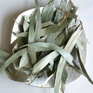 Glider-Honey Glider Eucalyptus Leaves 50g