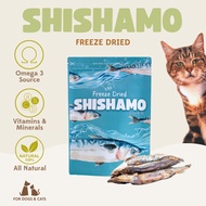 DrToots SHISHAMO Fish Snack Cat Dog/RAW Pet Healthy Treats Shisamo Fish Jerky Dog Cat