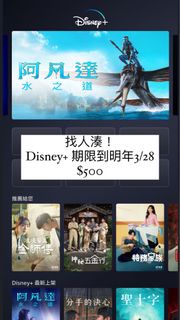 Disney +帳號