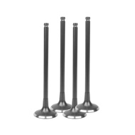 UMA RACING VALVE SET FOR Y15ZR 25/22