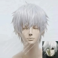 Hot sale Cosplay Wig Tokyo Ghoul Kaneki Ken Short Silver White High Temperature Fiber Hair Cosplay C