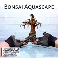 Aquascape Bonsai - Senggani Root - Aquarium Decoration 5