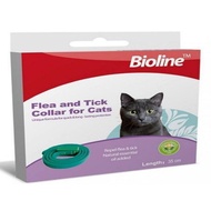 VÒNG CỔ DIỆT VE RẬN BỌ CHÉT CHO THÚ CƯNG CHÓ MÈO Bioline - Pet shop 24