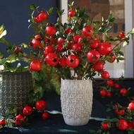 Pomegranate Branches, Decorative Rose Branches