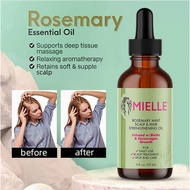 Mielle Rosemary Mint Strengthening Shampoo Mielle Hair Growth Essential Oil Rosemary Mint Hair Stren