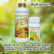 ปุ๋ยน้ำลาวา 1 ขวด ขนาดขวด 1000 Cc + แมกม่า 1 ขวด ขนาดขวด 250 Cc ผสมน้ำได้ 1000 L