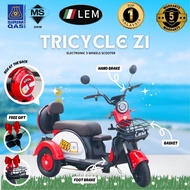 ★LEM★ electric tricycle scooter adult 800w new mini family car Z1/Z15