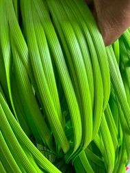 Bahan tali rotan sintetis tebal kiloan / rotan plastik kiloan tebal
