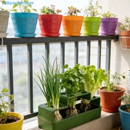 SEPTEMBER Sprout Planting Pot, Plastic Lettuce Chives Seedling Tray, Specialized Coriander Ventilate