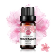 Cherry Blossom Essential Oil 100% Pure Oganic Plant Natrual Flower Essential Oil for Diffuser Messag