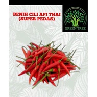 BIJI BENIH CILI THAILAND (50pcs)