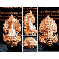 Thailand Amulet Phra Nak Prok 9236