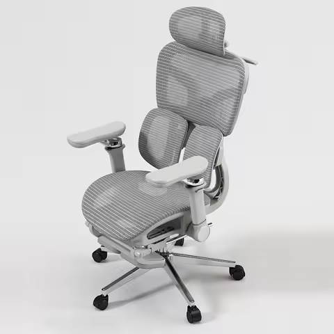 Ergonomic Lift Office Chair with Lumbar Support Household Gaming Esports Chair Household Computer Ch