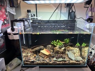 ADA 45cm 魚缸