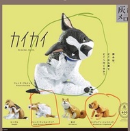 狗仔系列扭蛋 Rhodesian Ridgeback（羅德西亞脊背犬）