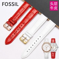 Fossil/fossil watch strap ladies leather pin buckle top layer cowhide watch chain 12 14 16mm watch s