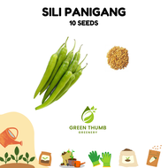 SILI PANIGANG SEEDS (HYBRID/INOKRA) - 10SEEDS