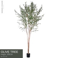 Olive Tree - Height 300 cm ต้นมะกอก ความสูง 300 ซม.ต้นไม้ปลอมเกรดพรีเมี่ยมเพื่อการตกแต่ง ต้นไม้ประดิ