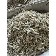 IKAN BILIS MURAH SEDERHANA BESAR 1kg/ BILIS HARGA BORONG / RANGUP DAN SEDAP