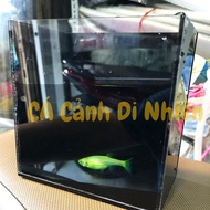 Hồ show cá siêu trong keo show Guppy Betta bể cá mini bằng nhựa acrylic 12x12x7 cm