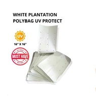 🔥🔥BIG SALES🔥🔥 [1 Pcs] Thick White Poly Bag HDPE UV | Polibag Putih Tebal Fertigasi (16inci x 16inci)