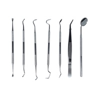 7 Pcs Stainless Steel Dental Care Tool Set, Practical & Easy to Carry