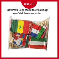(100 Pcs/1 Bag)Flags of the World Mixed Toothpick Flags From 50 Different Countries Flag Party Decor