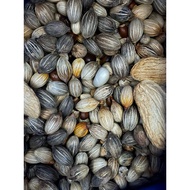 Seeds mixed with fruit spread when trekking, backpacking or going to the forest. Seed it Forward