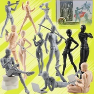 Sketch Draw Male Female Movable Body Kun Body Chan Joint Pain Anime Figure Shf Action Figure Toy Mod