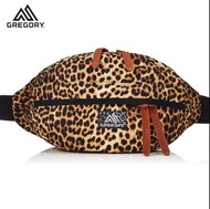 【💥日本直送】8L GREGORY Tailmate S 腰包 True Leopard