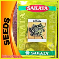 ♞DECORA PARSLEY CURLED PARSLEY SEEDS (50 GRAMS OR 50000 SEEDS) SAKATA