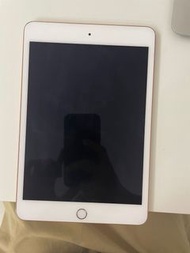 iPad mini 5 wifi 64GB