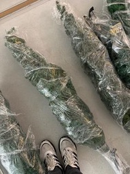 1.5米聖誕樹 4號 已包好