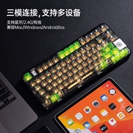 Kash City Guigui Department Store (Individual Industrial Commercial) coolkiller Transparent Mechanic