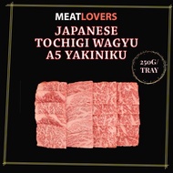 [MEATLOVERS] Japanese Wagyu A5 Yakiniku 250g