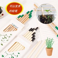 Seed Pencil Lettering Germination Pen Magical Planting Environmentally Friendly Pencil Creative Gift