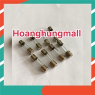 Glass fuse 10A 5x20 F10A 250v