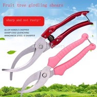 Large Girdling Scissors Girdling Scissors Girdling Knife Girdling Knife Grape Jujube Tree Peach Tree
