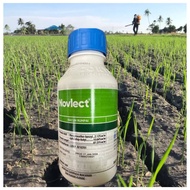[ORIGINAL] 500ML NOVLECT / Corteva/ Loyant Campur Clincher/Racun Rumpai padi