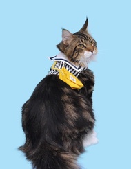 紅藍國小制服。AMONG胸背衣。寵物手作服