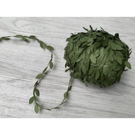 Vines, flower crowndauns, meter leaves, headband materials, flower crown materials