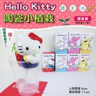 可超取~正版授權/Hello Kitty凱蒂貓綠生活陶瓷小植栽/吸水迷你盆栽/杯緣子吸水植物/小植栽/交換禮物