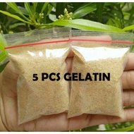 Halal Gelatin Powder - Organic Blackhead Facial Mask