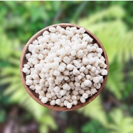 Pilus CIKUR / TOPING BAKSO ACI / ORIGINAL GARUT / 500 GRAM