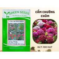 MIXED COLOR Carnation SEEDS (100 seeds)