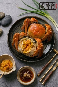 正宗江蘇大閘蟹公 (6.5-7兩/隻) | 爆膏白膏 濃郁粘嘴 游水活蟹 產地直送 鮮甜肥美 老字號 宴客送禮
