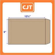 9 x 12.6 Super Giant Envelope - 115g